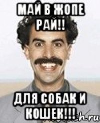 Май в жопе рай!! для собак и кошек!!!