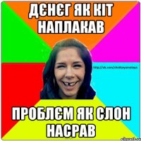 дєнєг як кіт наплакав проблєм як слон насрав