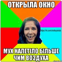 открыла окно мух налетіло більше чим воздуха