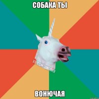 собака ты вонючая