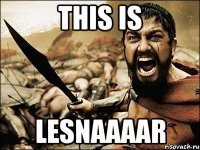 This is lesnaaaar