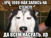 Ура, 1000-ная запись на стене!!! Да всем насрать. xD