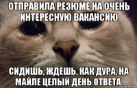 Отправила резюме на очень интересную вакансию Сидишь, ждешь, как дура, на майле целый день ответа.