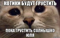 КОТИКИ БУДУТ ГРУСТИТЬ ПОКА ГРУСТИТЬ СОЛНЫШКО ЮЛЯ