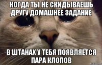 Когда ты не скидываешь другу домашнее задание В штанах у тебя появляется пара клопов