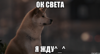 ок Света я жду^_^