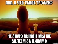 Пап, а что такое трофеи? Не знаю сынок, мы же болеем за Динамо