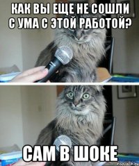 Как вы еще не сошли с ума с этой работой? САМ В ШОКЕ