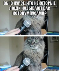 вы в курсе, что некоторые люди называют вас котовумпусами? 