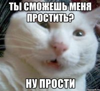 ты сможешь меня простить? ну прости