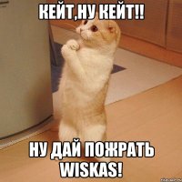 Кейт,ну Кейт!! Ну дай пожрать Wiskas!