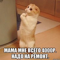  Мама мне всего 4000р. надо на ремонт.