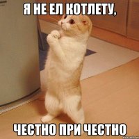 я не ел котлету, честно при честно