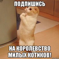 Подпишись На Королевство милых котиков!