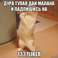 ДУРА ТУПАЯ ДАЙ МАЛАКА И ПАДПИШИСЬ НА 1337LikeR