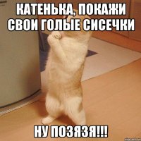 Катенька, покажи свои голые сисечки ну позязя!!!