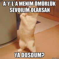 A*Y*L*A MENIM ÖMüRLÜK sevqilim olarsan ya dosdum?