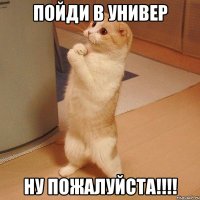 пойди в универ Ну Пожалуйста!!!!