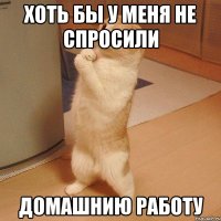 хоть бы у меня не спросили домашнию работу