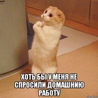  хоть бы у меня не спросили домашнию работу