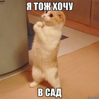 я тож хочу в сад