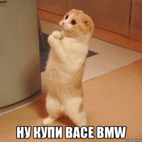  Ну купи Васе bmw