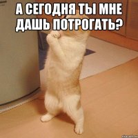 А сегодня ты мне дашь потрогать? 