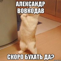 Александр Вовкодав скоро бухать да?