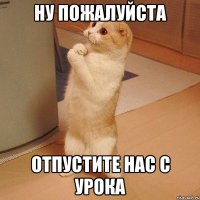 Ну пожалуйста отпустите нас с урока