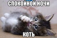 Спокойной ночи Коть