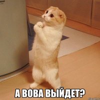  а Вова выйдет?