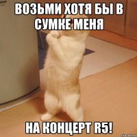 Возьми хотя бы в сумке меня на концерт R5!