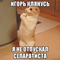 игорь клянусь я не отпускал сепаратиста