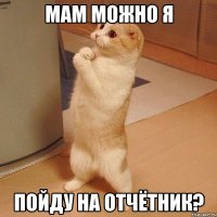 Мам Можно я Пойду на отчётник?