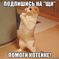 Подпишись на "щи" Помоги котейке!