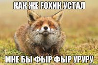 Как же FOXик устал Мне бы Фыр Фыр уруру