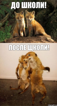 До школи! После щколи!