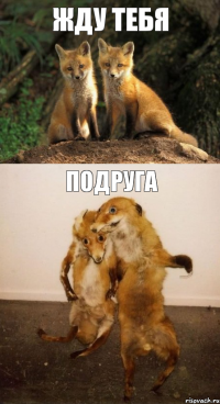 Жду тебя ПОДРУГА