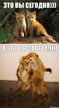 это вы сегодня))) а это вы завтра!))))