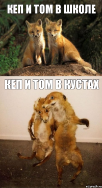 кеп и том в школе кеп и том в кустах