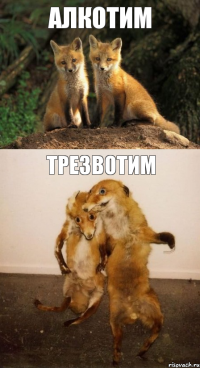 АЛКОТИМ ТРЕЗВОТИМ