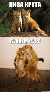 пива крута бухаем сука