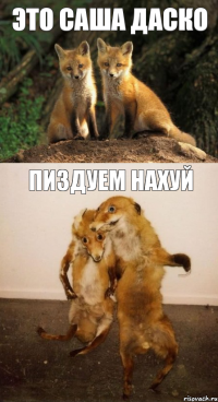 Это Саша даско Пиздуем нахуй