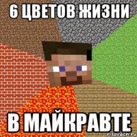 6 цветов жизни В майкравте