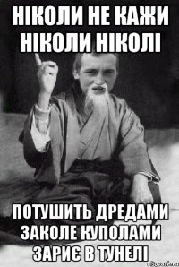 НІКОЛИ НЕ КАЖИ НІКОЛИ НІКОЛІ ПОТУШИТЬ ДРЕДАМИ ЗАКОЛЕ КУПОЛАМИ ЗАРИЄ В ТУНЕЛІ