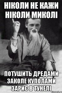 НІКОЛИ НЕ КАЖИ НІКОЛИ МИКОЛІ ПОТУШИТЬ ДРЕДАМИ ЗАКОЛЕ КУПОЛАМИ ЗАРИЄ В ТУНЕЛІ