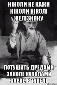 НІКОЛИ НЕ КАЖИ НІКОЛИ НІКОЛІ ЖЕЛІЗНЯКУ ПОТУШИТЬ ДРЕДАМИ ЗАКОЛЕ КУПОЛАМИ ЗАРИЄ В ТУНЕЛІ