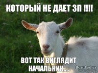 ВОТ ТАК ВИГЛЯДИТ НАЧАЛЬНИК.... КОТОРЫЙ НЕ ДАЕТ ЗП !!!!