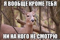 Я вообще кроме тебя ни на кого не смотрю