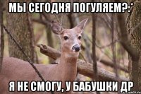 Мы сегодня погуляем?:* Я не смогу, у бабушки др